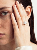Glaciar Ring